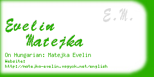 evelin matejka business card